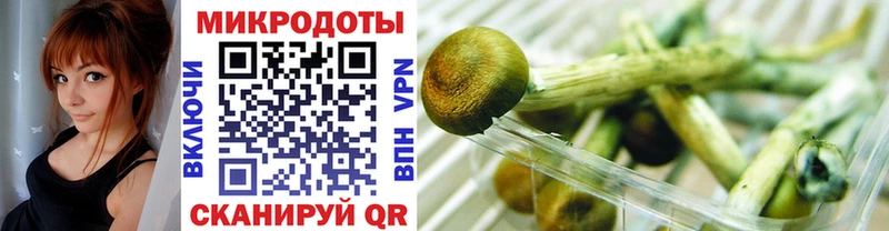 Псилоцибиновые грибы Psilocybe  KRAKEN сайт  Бокситогорск 
